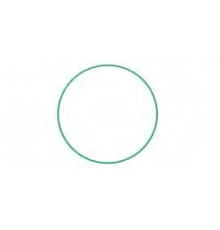 M55-2102 O-Ring FX80 SD6V12