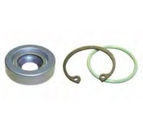 EK2038 (2105) Shaft Seal Kit