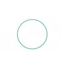 M20-2130 O-Ring TV12C