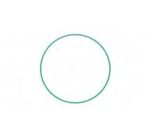 M13-2107 O-Ring