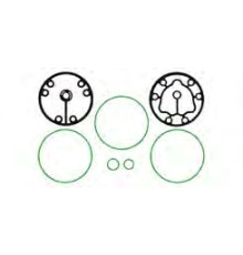 EK2198 Gasket Seal Kit