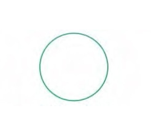 M55-2101 O-Ring TR090, TRS090