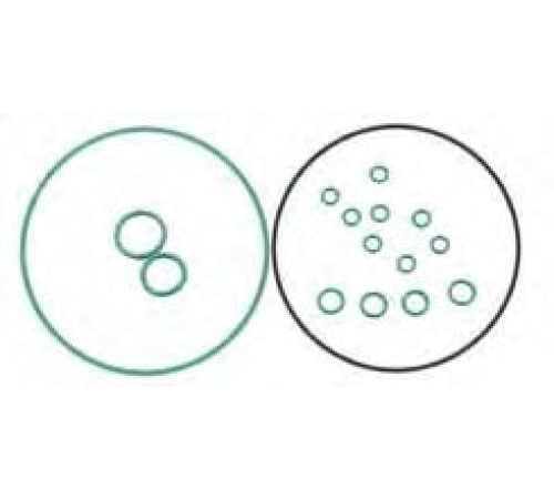 EK2207 O-Ring Seal Kit