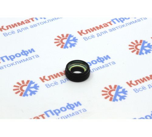 EK2353 (2553) Shaft Seal Kit